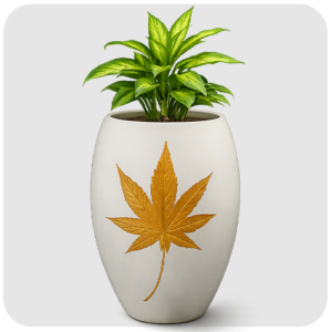 Medium Special Pot