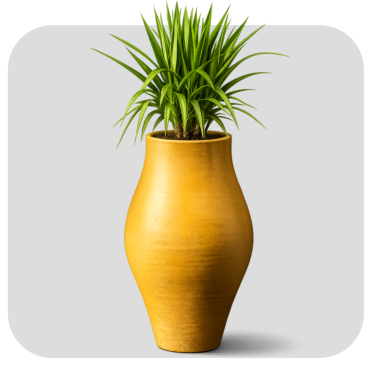 TABELA SHAPE POT