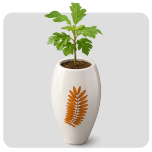 LARGE SPECIAL POT