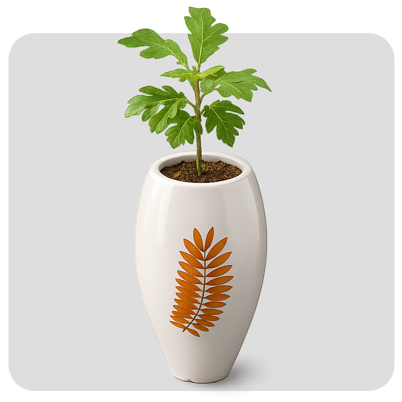 LARGE SPECIAL POT