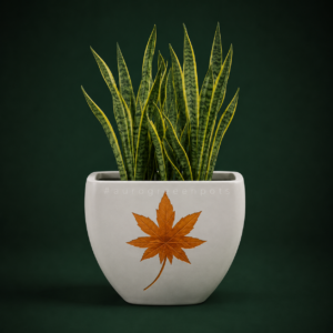 U - SHAPED POT