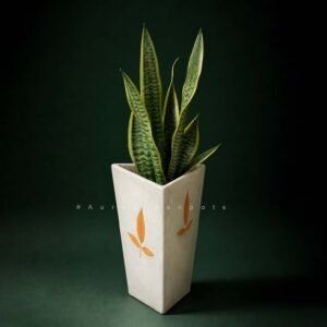 1.5 FEET CEMENT TRAINGLE
