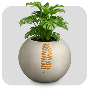 BIG BALL ( AURO POT )