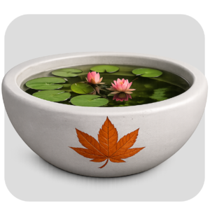 SMALL POND