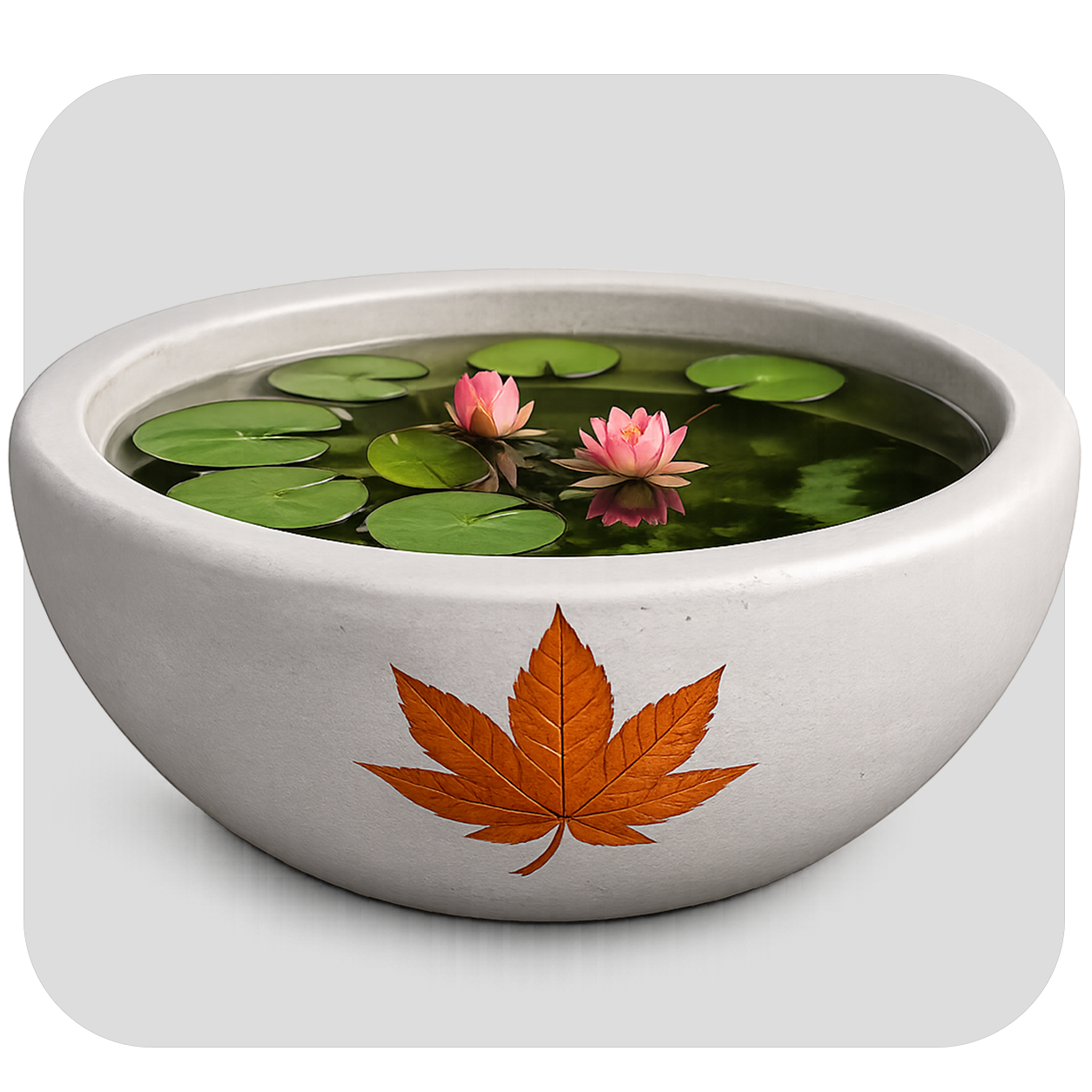 SMALL POND
