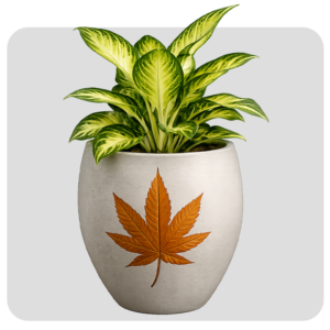 Medium Round Pot