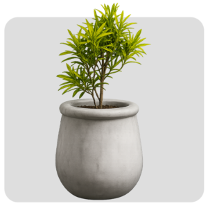 TERRA PLANTER-M2