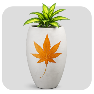 SMALL SPECIAL POT