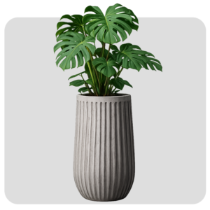 2.5 FEET LINING POT