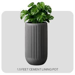 2 FEET LINING POT
