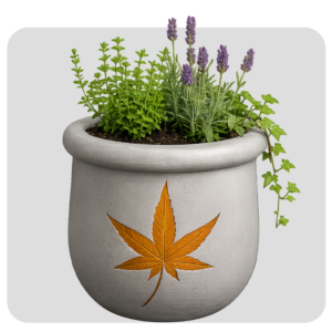 TERRA PLANTER-M1