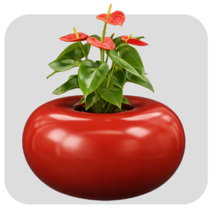 APPLE SHAPE POT