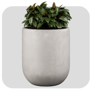 NEW CONICAL SMALL