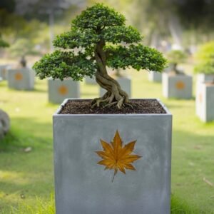 BIG SQUARE OXIDE POTS