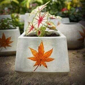 1 FEET FERRO CEMENT SQUARE POT