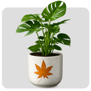 1.5 FEET FERRO CEMENT CYLINDER POT