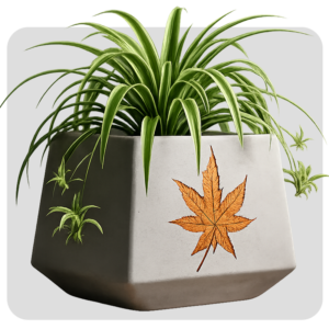 1 FEET FERRO CEMENT  SQUARE POT