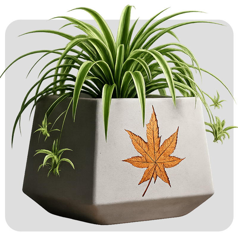 1 FEET FERRO CEMENT SQUARE POT