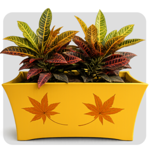 BLACK SQUARE POT SMALL