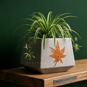 1 FEET FERRO CEMENT  SQUARE POT
