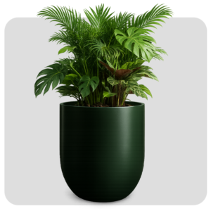 CYLINDRICAL BLACK  BIG