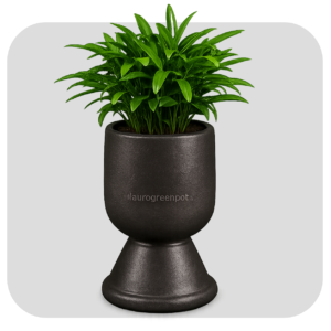 GLASS POT - 2