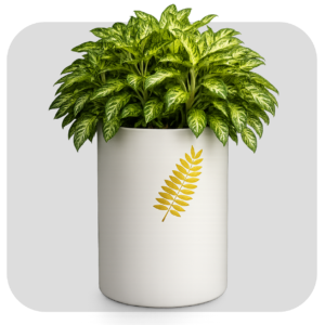 CEMENT OXIDE CORNER POT
