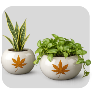 APP POT
