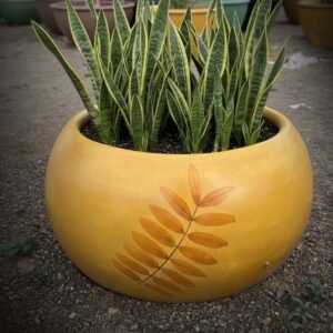 FERRO CEMENT OXIDE HALF PUSAI