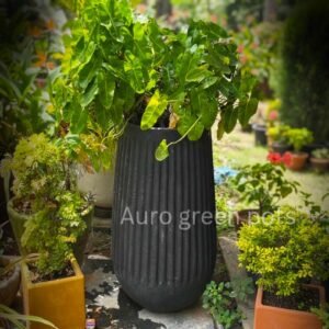 1.5 FEET CEMENT LINING POT