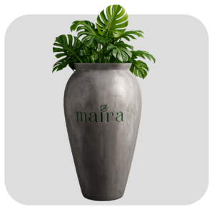 Jar Big Size Pot