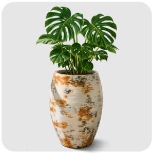 Small Special Pot