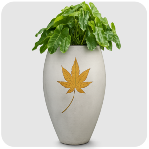 Big Special Pot