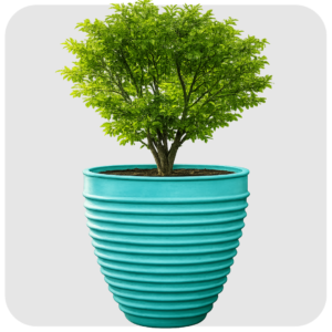 5 FEET Steps pots