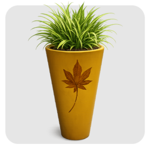 Medium CONE