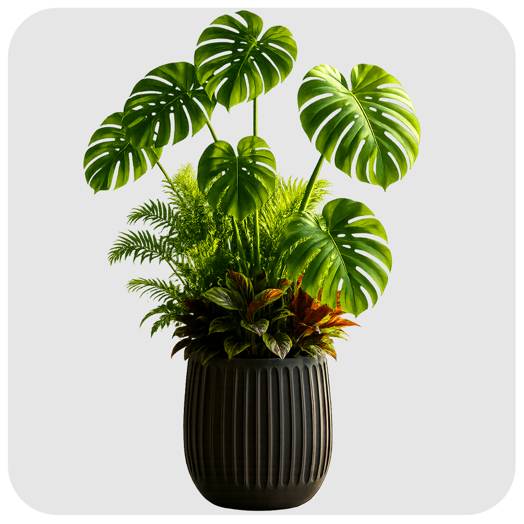 1.5 FEET LINING POT